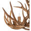 Antlers 9 - Light LED Chandelier