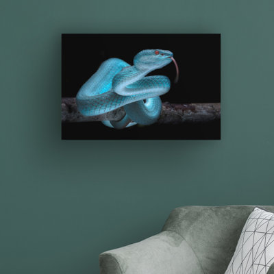 Venomus Blue Viper Snake par Fauzan Maududdin - reproduction de photo sur toile tendue