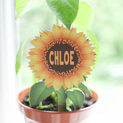 Jonasia Personalised Mini Sunflower Plant Label