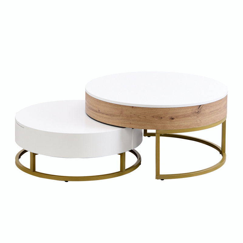 Anamta Modern Round Lift-top Nesting Coffee Tables with 2 Drawers, Gold, White/Natural