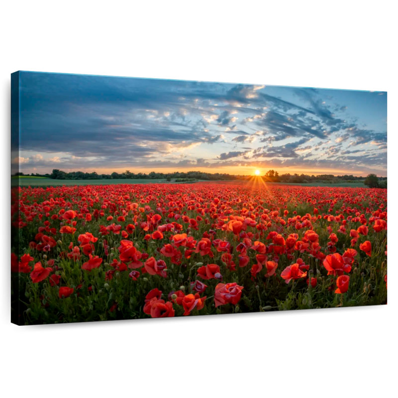 Lever de soleil sur le coquelicot rouge, H 30 po x l 45 po