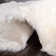 Keira Solid Colour Sheepskin Hand Woven Area Rug