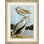 Great Pelican 1 Painting