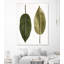 "Leaf Study 05" par Shot