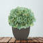Arrangement d'hortensias en tissu synthétique bleu sarcelle en pot-1488260804-1553681565