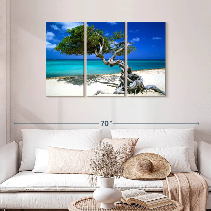 Divi Divi arbre Aruba Petites Antilles, H 28 po x l 45 po