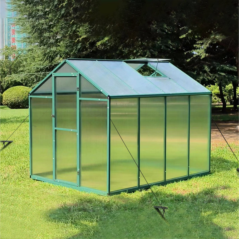 Serre en aluminium de 6 pi x 8 pi - Polycarbonate robuste pour accès à la cour arrière qui maintient des conditions de croissance des plantes constantes Bloque le soleil et protège contre les intempéries