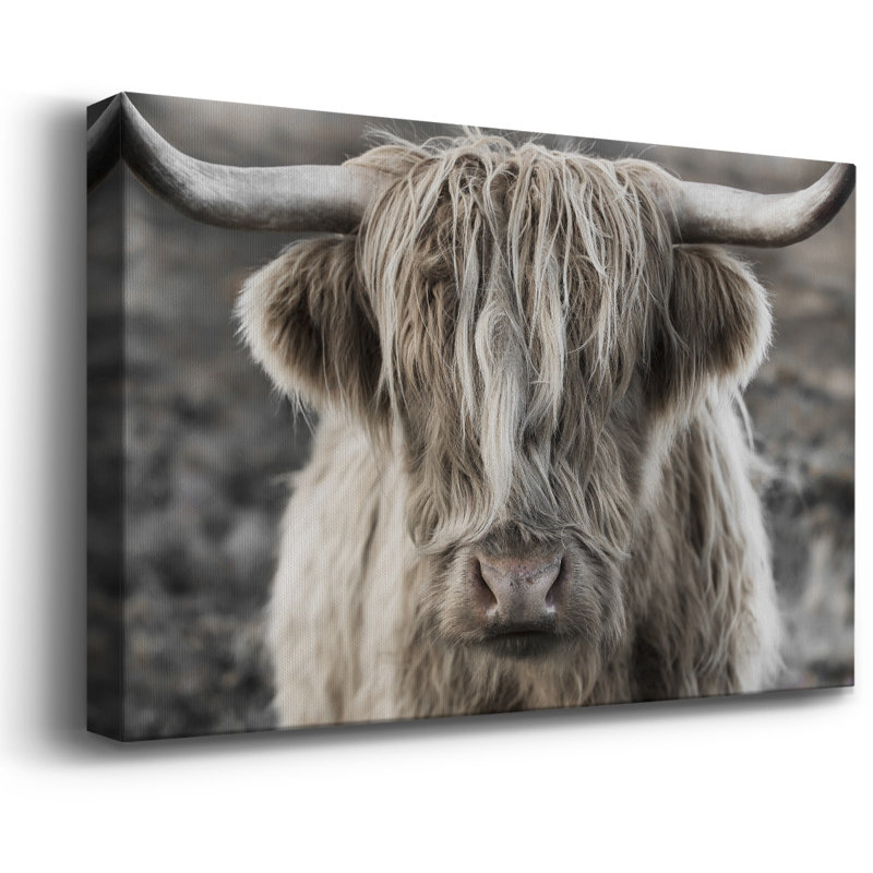 Highland Skye, toile tendue avec châssis de qualité supérieure - prête à être accrochée, H 8 po x l 12 po