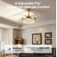 Ventilateurs de plafond Modern Farmhouse avec lumières rétractables et moteur à 6 vitesses réversible doré