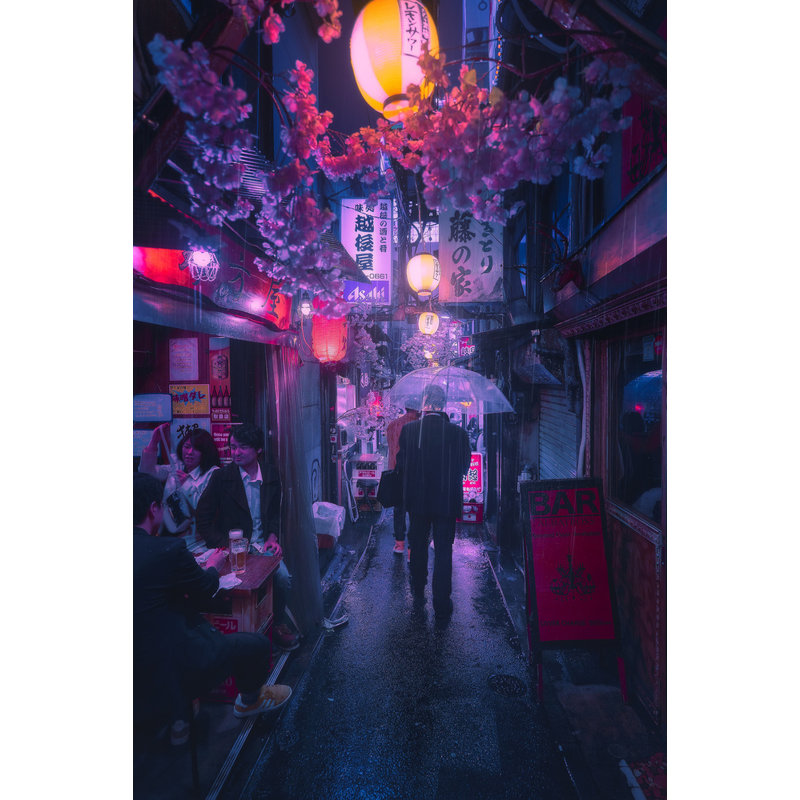 Wrapped Canvas Print, 50.8 cm H x 76.2 cm W