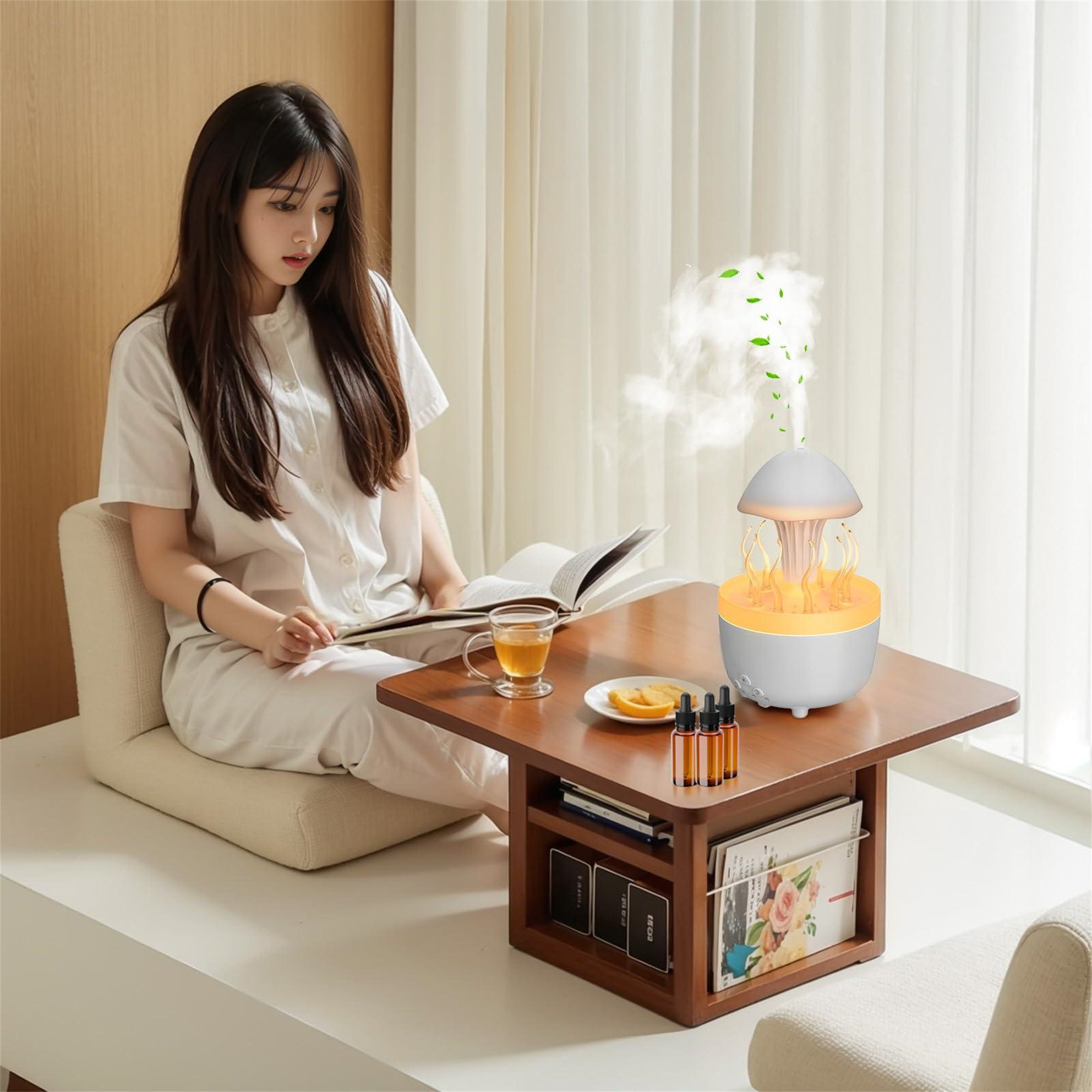 Beachcrest Home Rain Cloud Humidifier, Air Oil Aroma Diffuser 7 ...