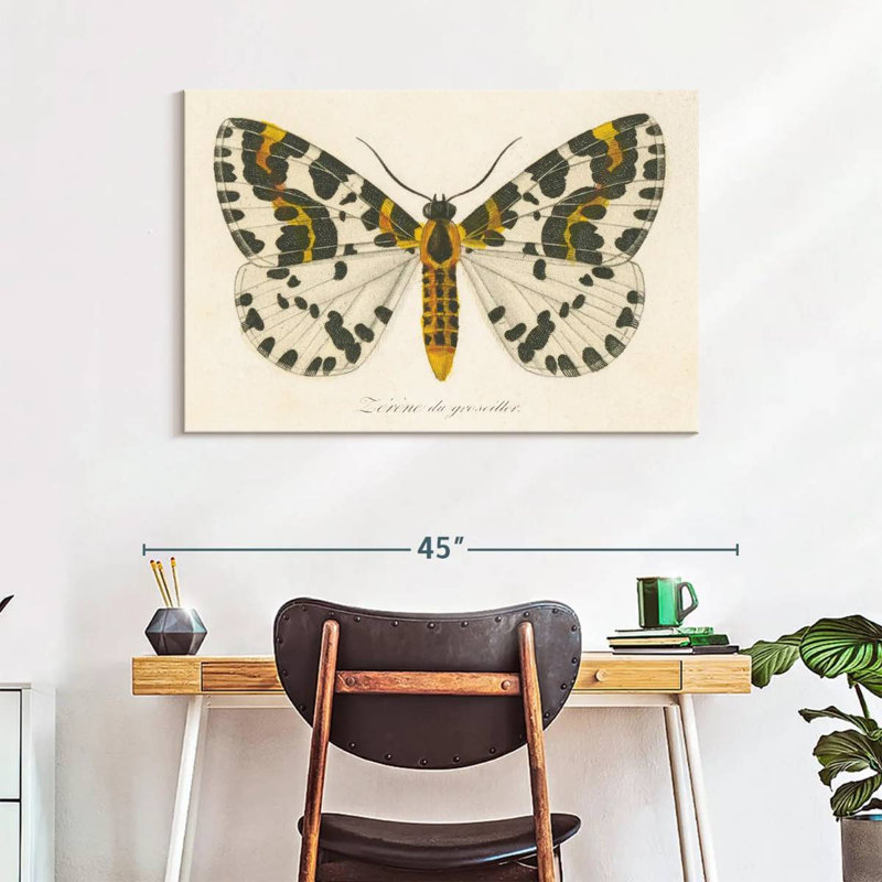Brampt Natures Butterfly IV, 26" H x 39" W