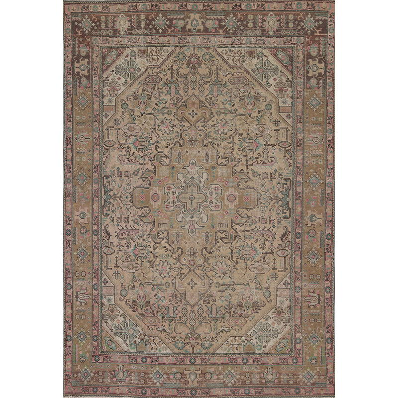 Distressed Wool Traditional Area Rug 7x10