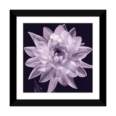 « white dahlia i », impression sur toile