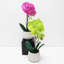 Arrangement floral orchidées phalaenopsis en pot-71650686-72117906