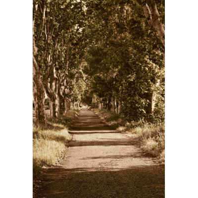 Road To St. Remy