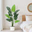 Faux Plant-1534334904-1534334908