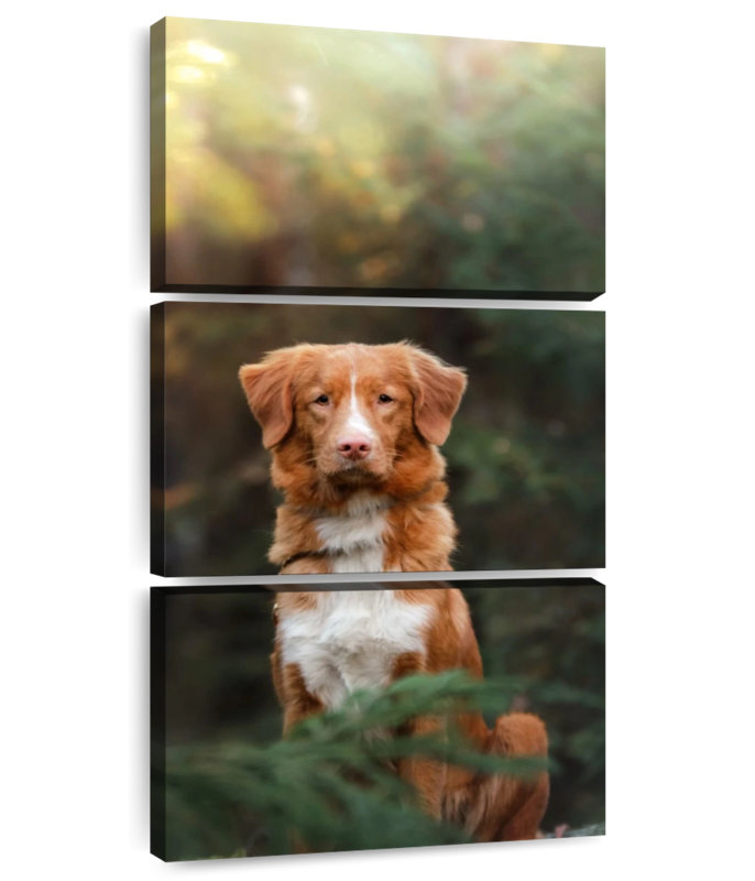 Chien retriever dans la forêt, H 38 po x l 18 po