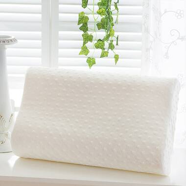 https://assets.wfcdn.com/im/00049912/resize-h380-w380%5Ecompr-r70/1488/148861779/Alexandrina+Memory+Foam+Firm+Pillow.jpg