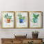 Basilic en pot - ensemble de 3 peintures sur toile encadrées-1187249458-1187249461