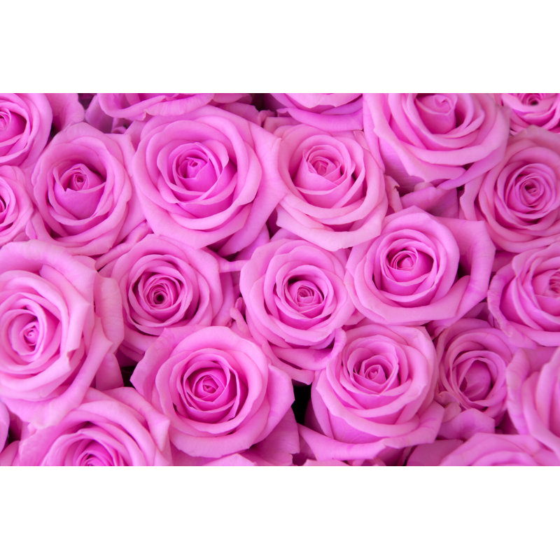Roses 1 Piece Wrapped Canvas Wall Art, 30cm H x 46cm W x 3.8cm D