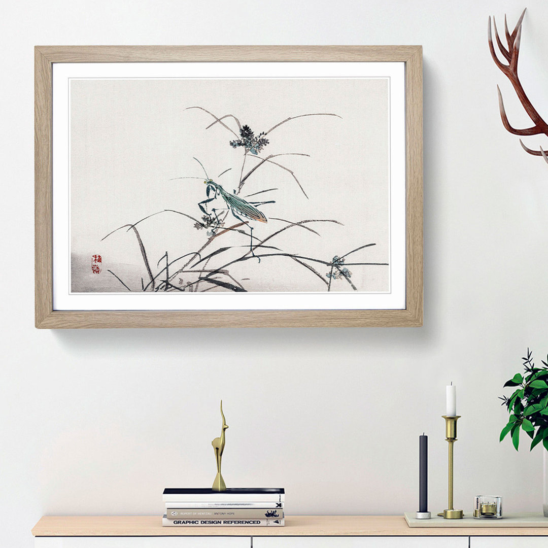 A Grasshopper by Kono Baireir - Picture Frame Painting Print