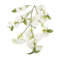 Silk Cherry Blossom Arrangement-30896110-31148605