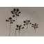 Royal Palms-1405639062-1405639063