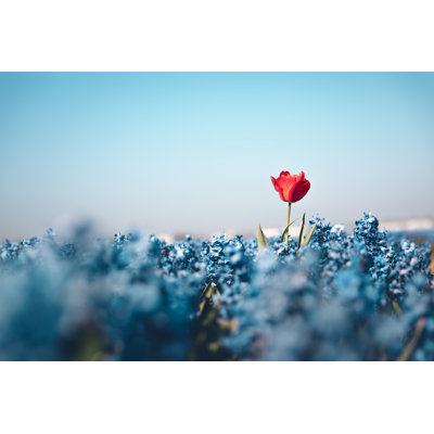Standing Out From the Crowd by Borchee