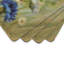 Pimpernel Fleurs des Champs 4 Piece Cork Placemat Set