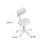 Fickes Task Chair