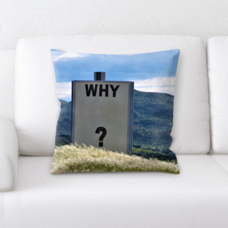 Microsuede Throw Pillow