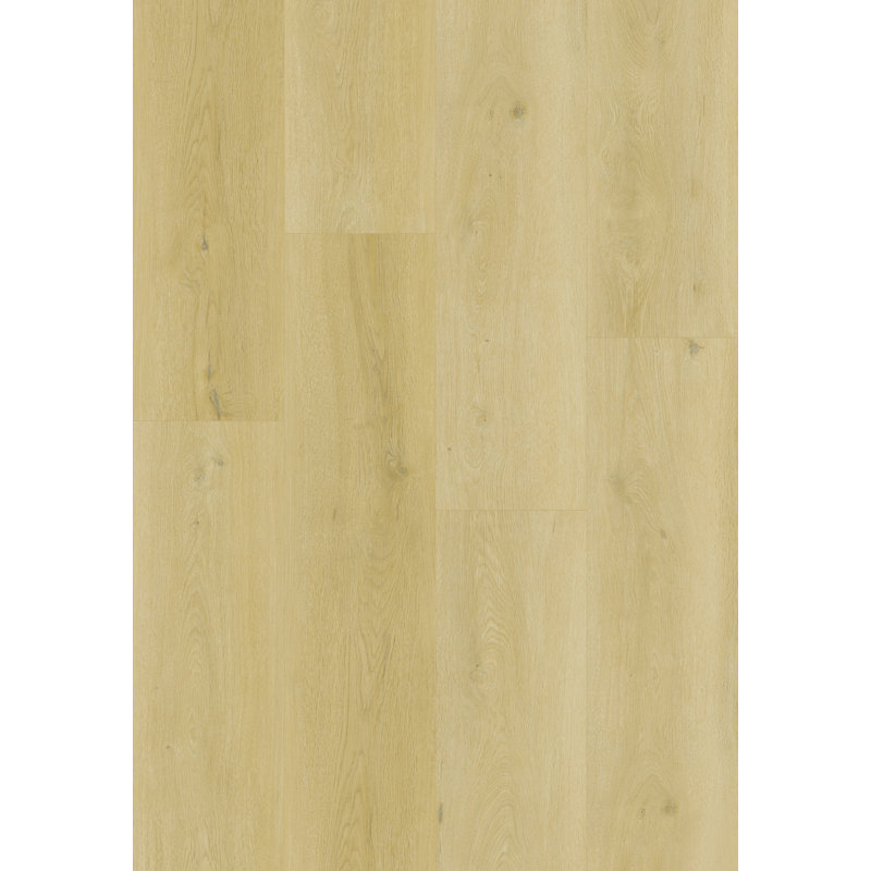 Plancher flottant Ecostyle SPC Wateroff , Bois jaune moyen