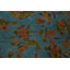Tapis persan Anala délavé surteint Tabriz