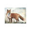 Fox In Woods Painting by Michelle Bennett-25706353-25706355