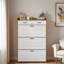 Armoire à chaussures avec 2 tiroirs-1616247930