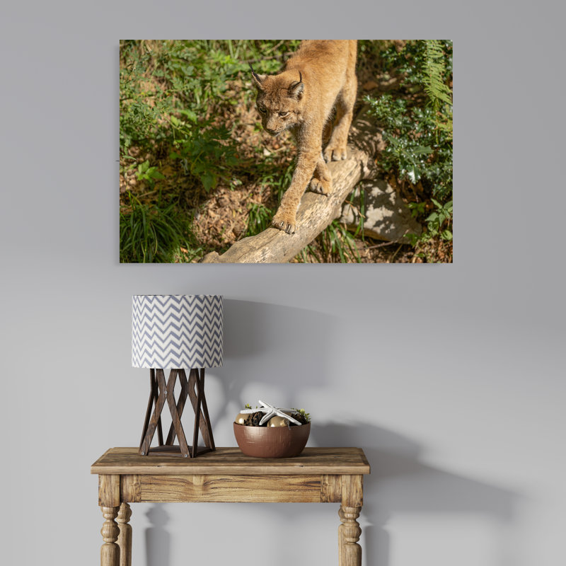 Caracal Walking on a Log, 8" H x 12" W