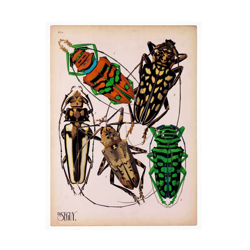 Insectes, plaque 14 sur toile, H 24 po x l 18 po x P 2 po