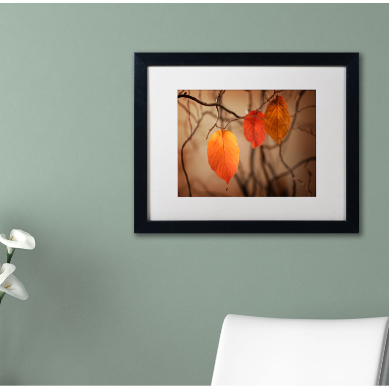 « leaves after leaves », reproduction de photo sur toile encadrée orange/brun, H 16 po x l 20 po x P 0,5 po