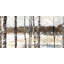 Winter swamp - 24"x48" Framed canvas