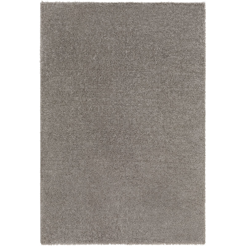 Basics by Wayfair™ Solid Shag Area Rug, Rectangle 7'10" x 10'