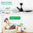 42" Smart Ceiling Fan With Lights Remote