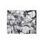 Graphite Painting