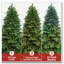 Arbre de Noël 7 pi pré-éclairé