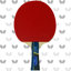 Raquette de 2000 Timo Boll