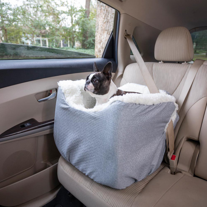 Siège d'auto Snoozer Lookout I, Petit (l 15 po x P 17 po x H 19 po), Gris
