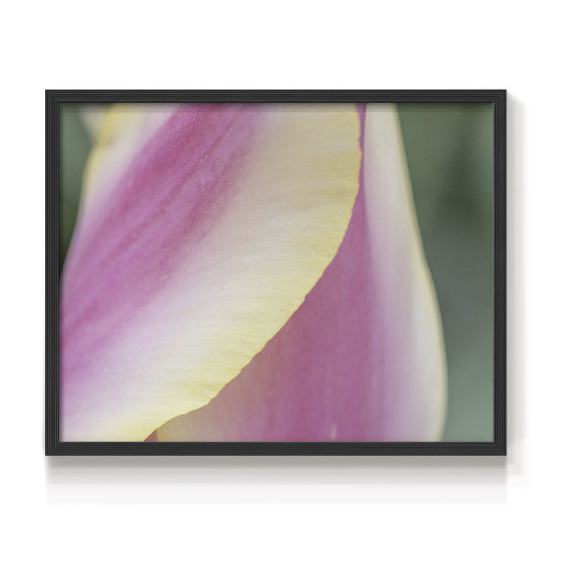 Delicate -Framed Print - Restickable, H 8 po x l 10 po, Noir, noir, noir, noir