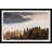 " Into The Forest "-910727314