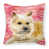 Cairn terrier
