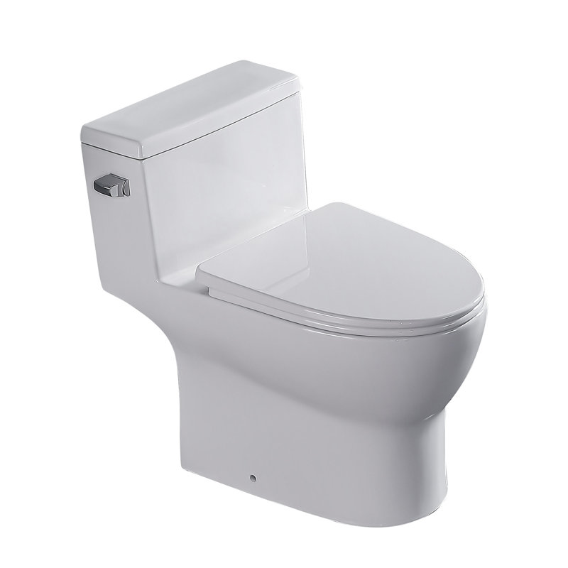 Toilette une pièce Rainlex RX-T28W